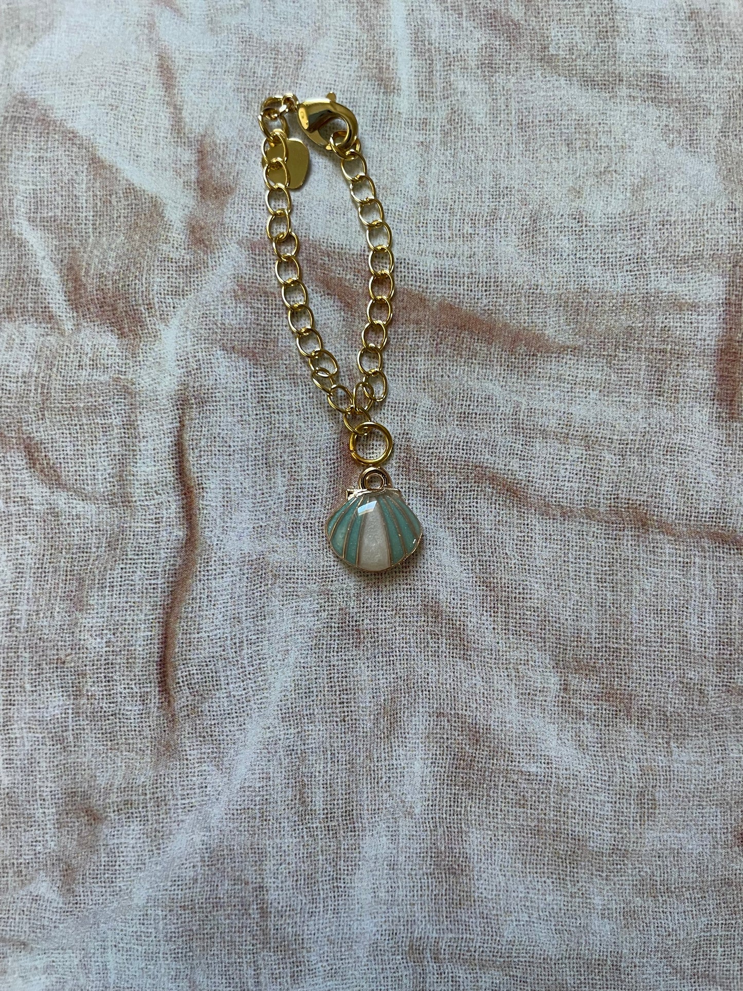 Glassy Scallop Shell